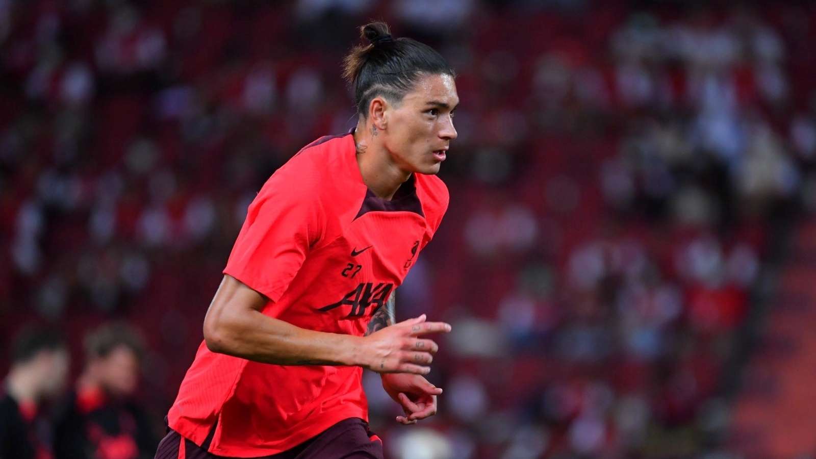 将自己逐渐 将自己逐渐